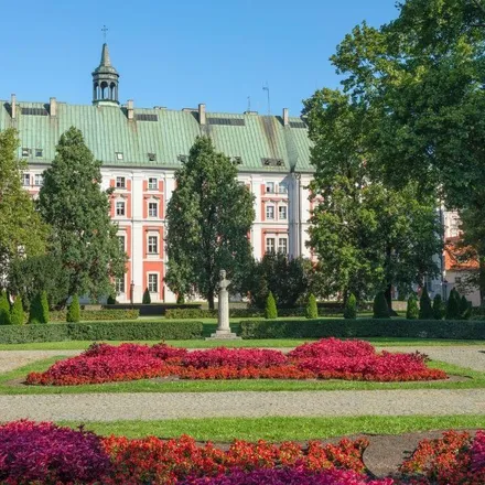 Zieleń w Poznaniu i nowe mieszkania - przewodnik
