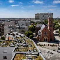 Poznańska dzielnica Jeżyce