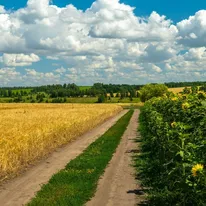 Ile kosztuje działka budowlana, rekreacyjna i rolna?