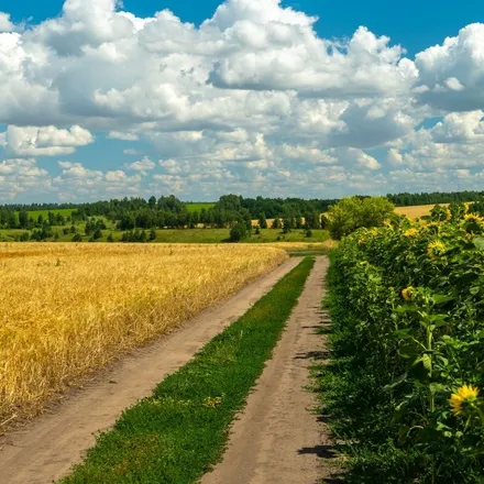 Ile kosztuje działka budowlana, rekreacyjna i rolna?