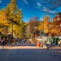 Rynek nieruchomości w Zakopanem