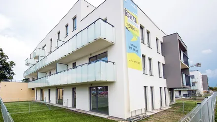 NeoVita etap III