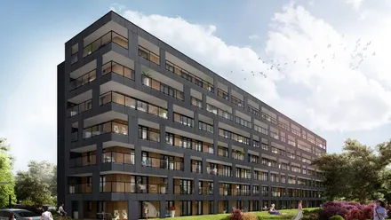 Nowe Bronowice