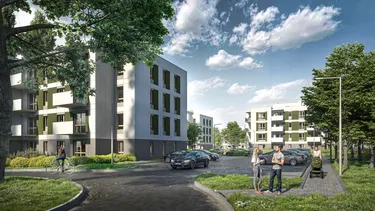 Zielone Zamienie XI