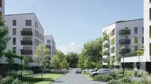 Chryzantemovo