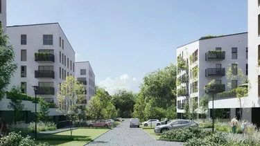 Chryzantemovo