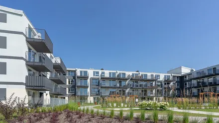 Aura Garden