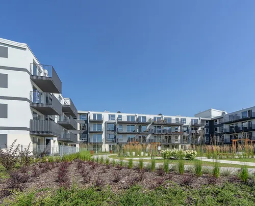 Aura Garden