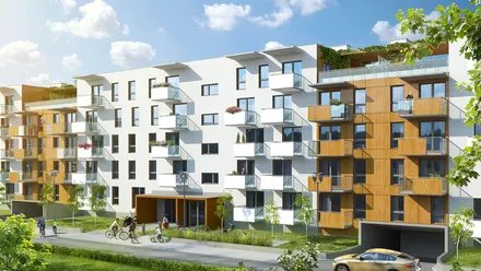 Accent Eco