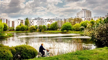 Apartamenty Saska nad Jeziorem