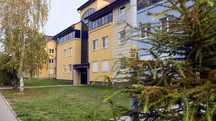 Cichy Gaj etap II