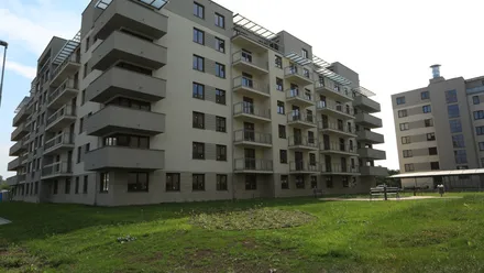 Dąbie Park
