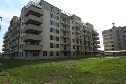 Dąbie Park