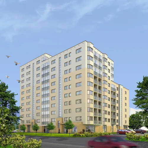 Elsnera 34