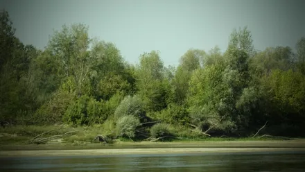 Mieszkania Wiślany Brzeg
