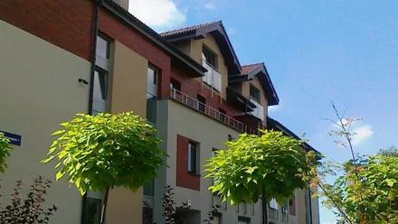 Polana Pod Sosnami