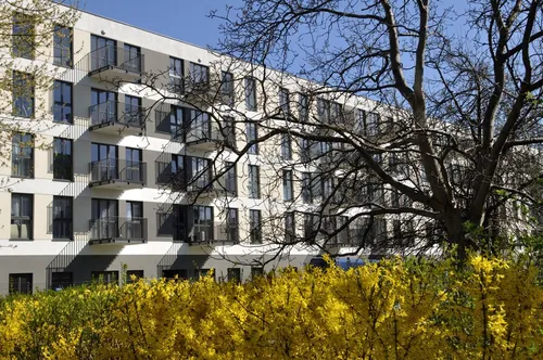 Puławska 228