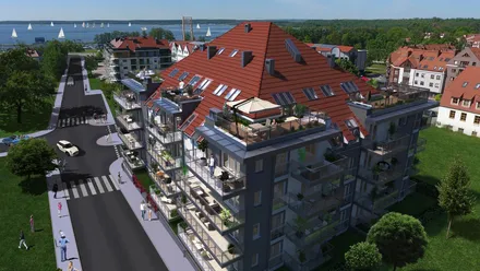 Róża Wiatrów
