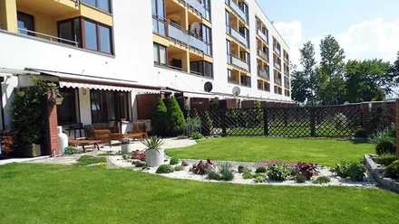 Wiśniowy Sad