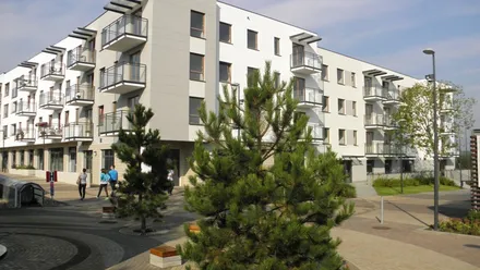 Wolne Miasto (etap I)