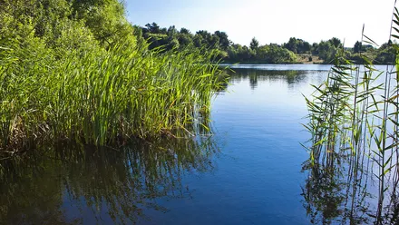 Wróbla Staw - mieszkania