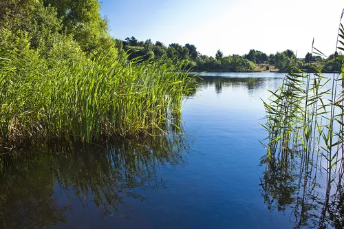 Wróbla Staw - mieszkania