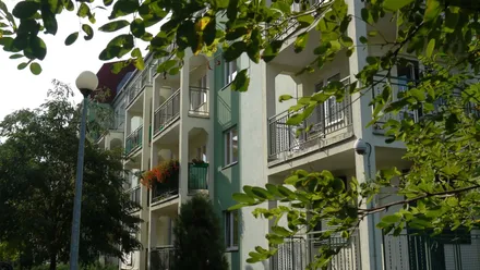 Zielony Romanów