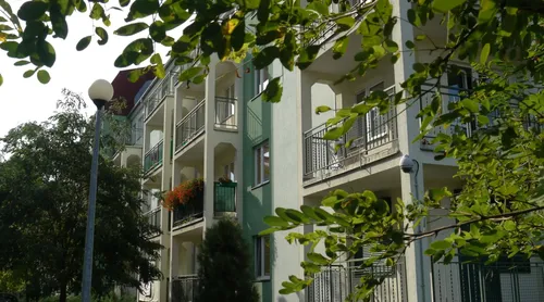 Zielony Romanów