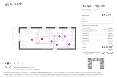 Rzut - Mieszkanie na sprzedaż 4 pokoje o powierzchni 66,85 m² - numer 1.A.2.07 w Murapol Trzy Lipki