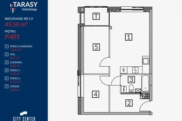 Rzut - Mieszkanie na sprzedaż 3 pokoje o powierzchni 45,5 m² - numer B2.M.5.9 w Tarasy Sobieskiego