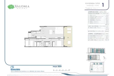 Valonia - Alicante