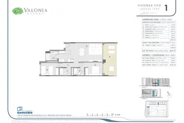 Valonia - Alicante