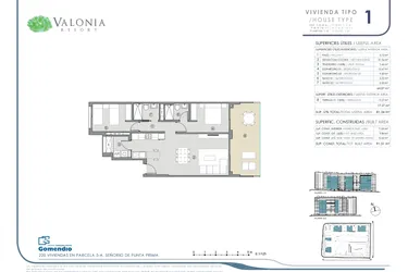 Valonia - Alicante