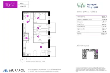 Rzut - Mieszkanie na sprzedaż 2 pokoje o powierzchni 75,68 m² - numer 2.B.3.02 w Murapol Trzy Lipki etap II