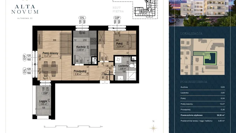 Rzut - Mieszkanie na sprzedaż 2 pokoje o powierzchni 36,19 m² - numer 9 w Alta Novum