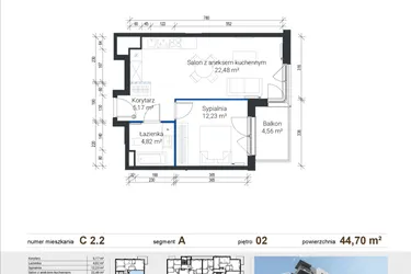 Rzut - Mieszkanie na sprzedaż 2 pokoje o powierzchni 44,59 m² - numer C 2.2 w Nowe Zabłocie