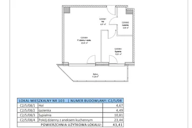 Rzut - Mieszkanie na sprzedaż 2 pokoje o powierzchni 43,41 m² - numer C2/5/08 w Chylońska STO10 etap III