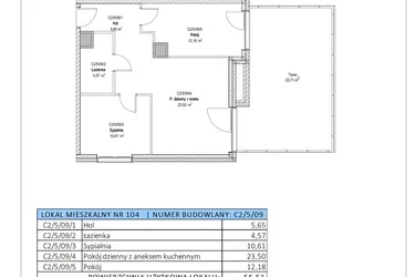 Rzut - Mieszkanie na sprzedaż 3 pokoje o powierzchni 56,51 m² - numer C2/5/09 w Chylońska STO10 etap III