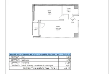 Rzut - Mieszkanie na sprzedaż 2 pokoje o powierzchni 43,23 m² - numer C2/7/05 w Chylońska STO10 etap III