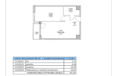 Rzut - Mieszkanie na sprzedaż 2 pokoje o powierzchni 43,29 m² - numer C1/5/02 w Chylońska STO10 etap III