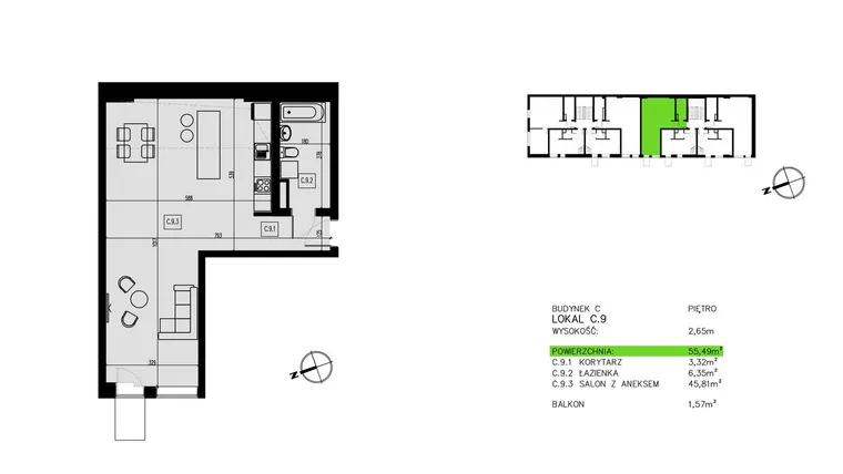 Rzut - Mieszkanie na sprzedaż 1 pokój o powierzchni 55,55 m² - numer C.9 w Pawia od Nowa