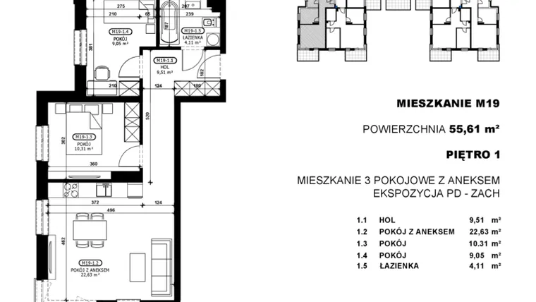 Rzut - Mieszkanie na sprzedaż 3 pokoje o powierzchni 55,61 m² - numer C2-M19 w Stacja Łódź V – etap C2