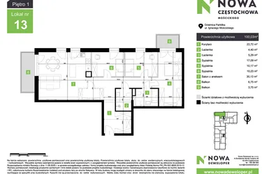Rzut - Mieszkanie na sprzedaż 4 pokoje o powierzchni 100,03 m² - numer M13 w Nowa Częstochowa Mościckiego