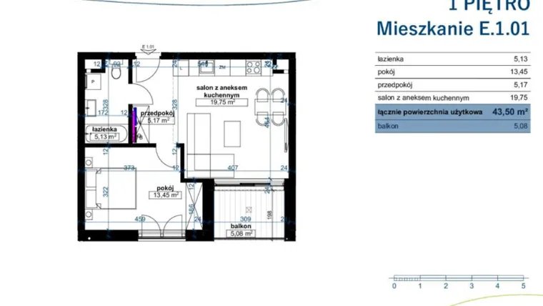 Rzut - Mieszkanie na sprzedaż 2 pokoje o powierzchni 43,5 m² - numer E.1.01 w Wzgórze Poetów 2