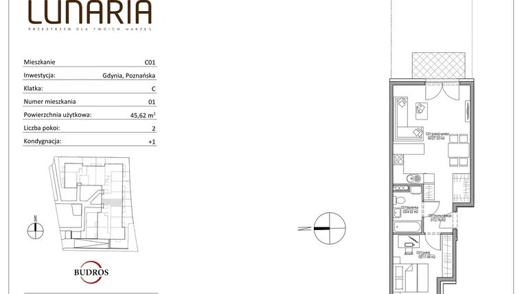Rzut - Mieszkanie na sprzedaż 2 pokoje o powierzchni 45,7 m² - numer C01 w Lunaria