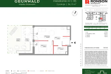 Rzut - Mieszkanie na sprzedaż 2 pokoje o powierzchni 36,13 m² - numer C085 w Grunwald Między Drzewami etap III