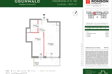 Rzut - Mieszkanie na sprzedaż 2 pokoje o powierzchni 38,87 m² - numer D160 w Grunwald Między Drzewami etap III