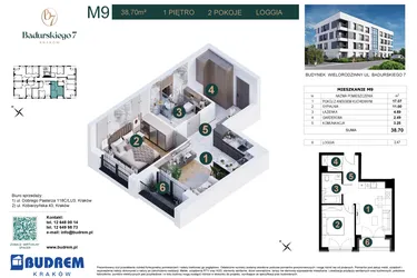Rzut - Mieszkanie na sprzedaż 2 pokoje o powierzchni 38,7 m² - numer 9 w Badurskiego 7