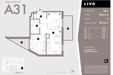 Rzut - Mieszkanie na sprzedaż 2 pokoje o powierzchni 45,16 m² - numer A31 w Livo