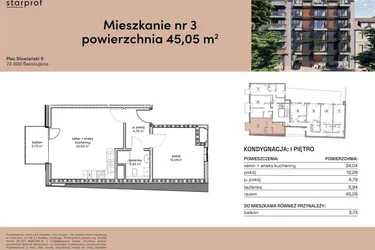 Rzut - Mieszkanie na sprzedaż 2 pokoje o powierzchni 45,05 m² - numer M3 w Plac Słowiański 9